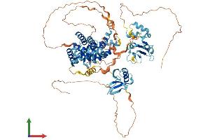 AlphaFold protein structure predicition of Mouse Recombinant Rin1 Protein, UniprotID Q921Q7