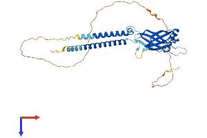 AlphaFold protein structure predicition of Mouse Recombinant Bscl2 Protein, UniprotID Q9Z2E9