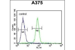 DERA Antibody (N-term) (ABIN652710 and ABIN2842470) flow cytometric analysis of  cells (right histogram) compared to a negative control cell (left histogram). (DERA anticorps  (N-Term))