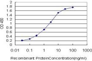 Detection limit for recombinant GST tagged SRF is approximately 0.
