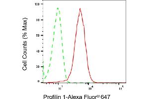 Flow cytometric analysis of Profilin 1 expression in HepG2 cells using Profilin 1 antibody (ABIN7799904), 1:2,000).