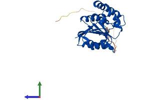AlphaFold protein structure predicition of Human Recombinant COMTD1 Protein, UniprotID Q86VU5
