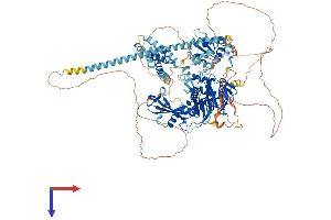 AlphaFold protein structure predicition of Human Recombinant USP8 Protein, UniprotID P40818