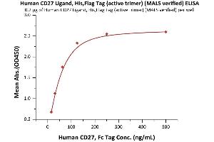 Immobilized Human CD27 Ligand, His,Flag Tag (active trimer) (MALS verified) (ABIN6951037,ABIN6952264) at 2 μg/mL (100 μL/well) can bind Human CD27, Fc Tag (ABIN2180735,ABIN2180734) with a linear range of 2-125 ng/mL (QC tested).