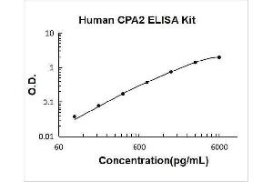 Carboxypeptidase A2 (Pancreatic) (CPA2) ELISA Kit