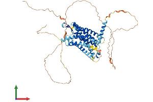 AlphaFold protein structure predicition of Mouse Recombinant Gpr152 Protein, UniprotID Q8BXS7
