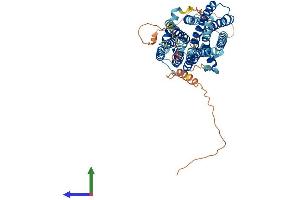 AlphaFold protein structure predicition of Human Recombinant SLC29A4 Protein, UniprotID Q7RTT9