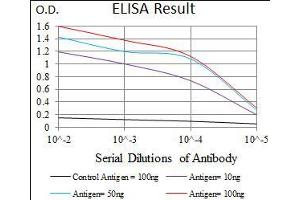 Black line: Control Antigen (100 ng), Purple line: Antigen(10 ng), Blue line: Antigen (50 ng), Red line: Antigen (100 ng), (C17orf53 anticorps  (AA 282-527))