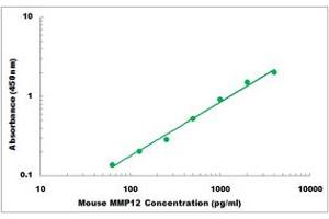 Representative Standard Curve (MMP12 Kit ELISA)