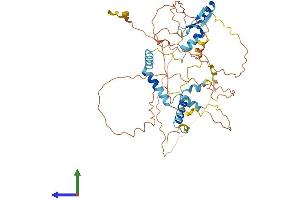 AlphaFold protein structure predicition of Mouse Recombinant Nufip1 Protein, UniprotID Q9QXX8