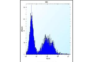 TSSK6 Antibody (C-term) (ABIN656396 and ABIN2845691) flow cytometric analysis of 293 cells (right histogram) compared to a negative control cell (left histogram).