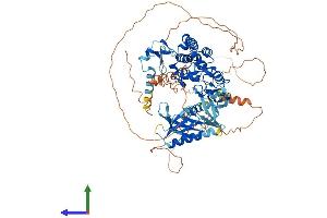 AlphaFold protein structure predicition of Human Recombinant PLEKHM3 Protein, UniprotID Q6ZWE6