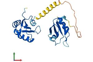 AlphaFold protein structure predicition of Mouse Recombinant Snrpb2 Protein, UniprotID Q9CQI7