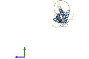 AlphaFold protein structure predicition of Mouse Recombinant Cldn18 Protein, UniprotID P56857