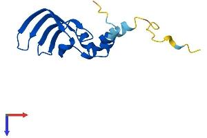AlphaFold protein structure predicition of Human Recombinant LSM10 Protein, UniprotID Q969L4