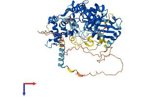 AlphaFold protein structure predicition of Mouse Recombinant Gnl1 Protein, UniprotID P36916