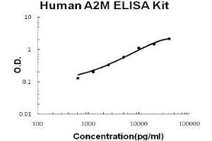Human A2M/alpha2-Macroglobulin PicoKine ELISA Kit standard curve (alpha 2 Macroglobulin Kit ELISA)