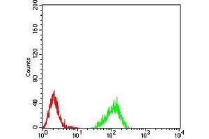 Flow cytometric analysis of Raji cells using HIST2H4A(20Me3) mouse mAb (green) and negative control (red).