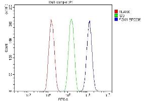 Flow Cytometry analysis of A549 cells using anti-FOXI1 antibody (ABIN7599327). (FOXI1 anticorps  (AA 1-378))