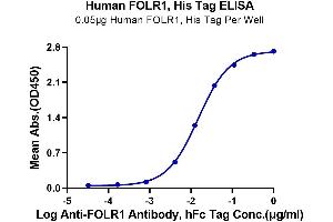 Immobilized Human FOLR1, His Tag at 0.