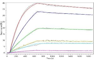 TNFRSF10A Recombinant Monoclonal Antibody captured on Protein A Chip can bind Human TNFRSF10A with an affinity constant of 0.