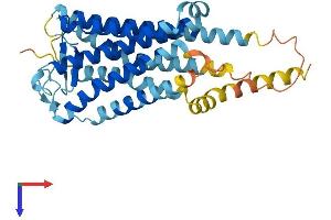 AlphaFold protein structure predicition of Mouse Recombinant Ptgdr Protein, UniprotID P70263