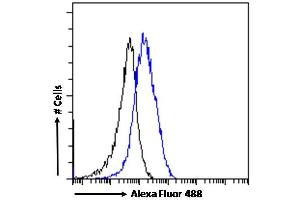 (ABIN334455) Flow cytometric analysis of paraformaldehyde fixed A431 cells (blue line), permeabilized with 0. (P2RX4 anticorps  (C-Term))