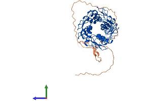 AlphaFold protein structure predicition of Human Recombinant ZNF71 Protein, UniprotID Q9NQZ8
