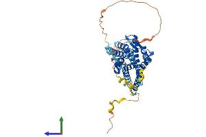 AlphaFold protein structure predicition of Human Recombinant GPR151 Protein, UniprotID Q8TDV0