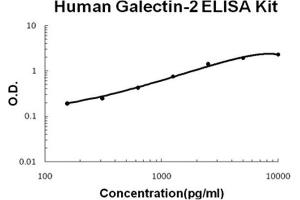 Human Galectin-2 PicoKine ELISA Kit standard curve