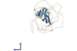 AlphaFold protein structure predicition of Human Recombinant SLK Protein, UniprotID Q9H2G2