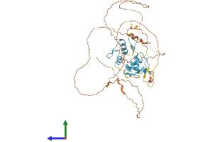AlphaFold protein structure predicition of Human Recombinant ZIC1 Protein, UniprotID Q15915