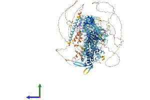 AlphaFold protein structure predicition of Mouse Recombinant Myo3a Protein, UniprotID Q8K3H5