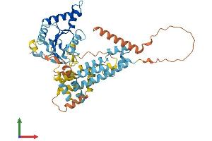 AlphaFold protein structure predicition of Human Recombinant IRGC Protein, UniprotID Q6NXR0