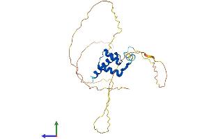 AlphaFold protein structure predicition of Mouse Recombinant Hoxa9 Protein, UniprotID P09631