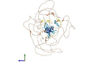 AlphaFold protein structure predicition of Mouse Recombinant Map10 Protein, UniprotID Q8BJS7