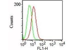 Flow Cytometry of NCCIT cells using Podocalyxin Mouse Monoclonal Antibody (3D3). (PODXL anticorps  (Extracellular Domain))