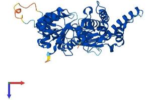 AlphaFold protein structure predicition of Human Recombinant ACTR3B Protein, UniprotID Q9P1U1