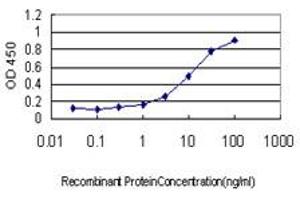 Detection limit for recombinant GST tagged STAT4 is approximately 0.