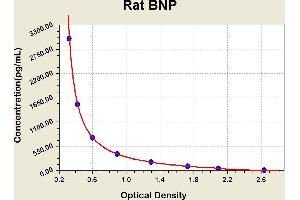 Diagramm of the ELISA kit to detect Rat BNPwith the optical density on the x-axis and the concentration on the y-axis. (BNP Kit ELISA)