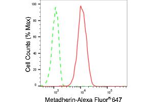 Flow cytometric analysis of Metadherin expression in C2C12 cells using Metadherin antibody (ABIN7799374), 1:2,000).