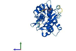 AlphaFold protein structure predicition of Mouse Recombinant Nt5c3b Protein, UniprotID Q3UFY7