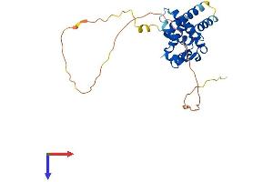 AlphaFold protein structure predicition of Human Recombinant MORF4L2 Protein, UniprotID Q15014