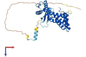 AlphaFold protein structure predicition of Human Recombinant SNX20 Protein, UniprotID Q7Z614