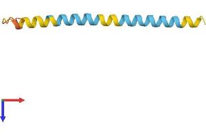 AlphaFold protein structure predicition of Mouse Recombinant Phxr2 Protein, UniprotID P15972