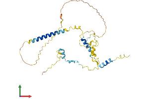 AlphaFold protein structure predicition of Human Recombinant MTFR1L Protein, UniprotID Q9H019