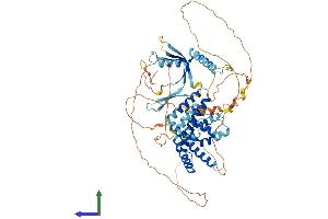 AlphaFold protein structure predicition of Mouse Recombinant Ell2 Protein, UniprotID Q3UKU1