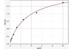 Typical standard curve (MKL1 Kit ELISA)