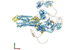 AlphaFold protein structure predicition of Human Recombinant ATP7A Protein, UniprotID Q04656