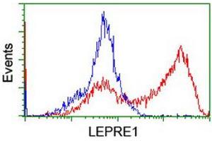 HEK293T cells transfected with either RC222535 overexpress plasmid (Red) or empty vector control plasmid (Blue) were immunostained by anti-LEPRE1 antibody (ABIN2455935), and then analyzed by flow cytometry. (LEPRE1 anticorps)